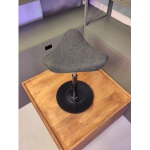 Varier Move afbeelding 2