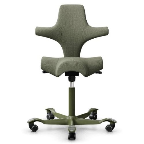 HAG Capisco Moss Grey Edition