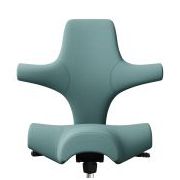 HAG Capisco Turquoise Edition