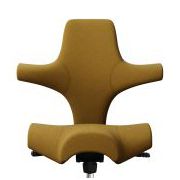 HAG Capisco Trend Edition