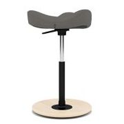 Varier Move Standaardmodel