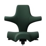 HAG Capisco Forest Edition