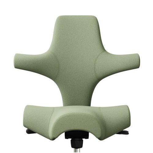 HAG Capisco Moss Edition