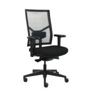 ChairExpress ErgoNetic NPR Mesh