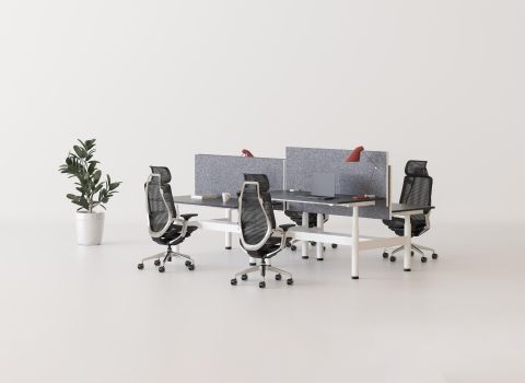 Goodtone Birch sfeerafbeelding 7