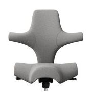 HAG Capisco Grey Edition Leegverkoop