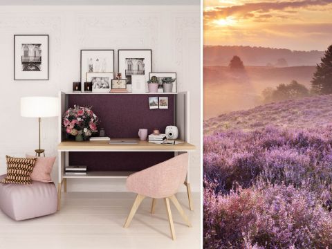 Mikomax Nest sfeerafbeelding 6